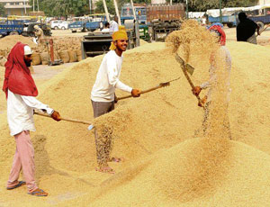 Weavers & Farmers